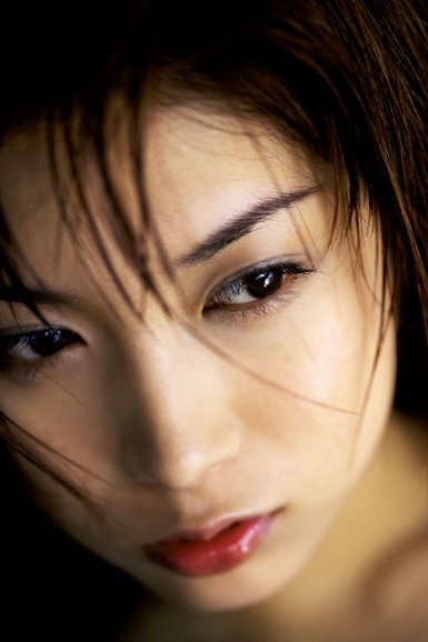 开云app登录入口